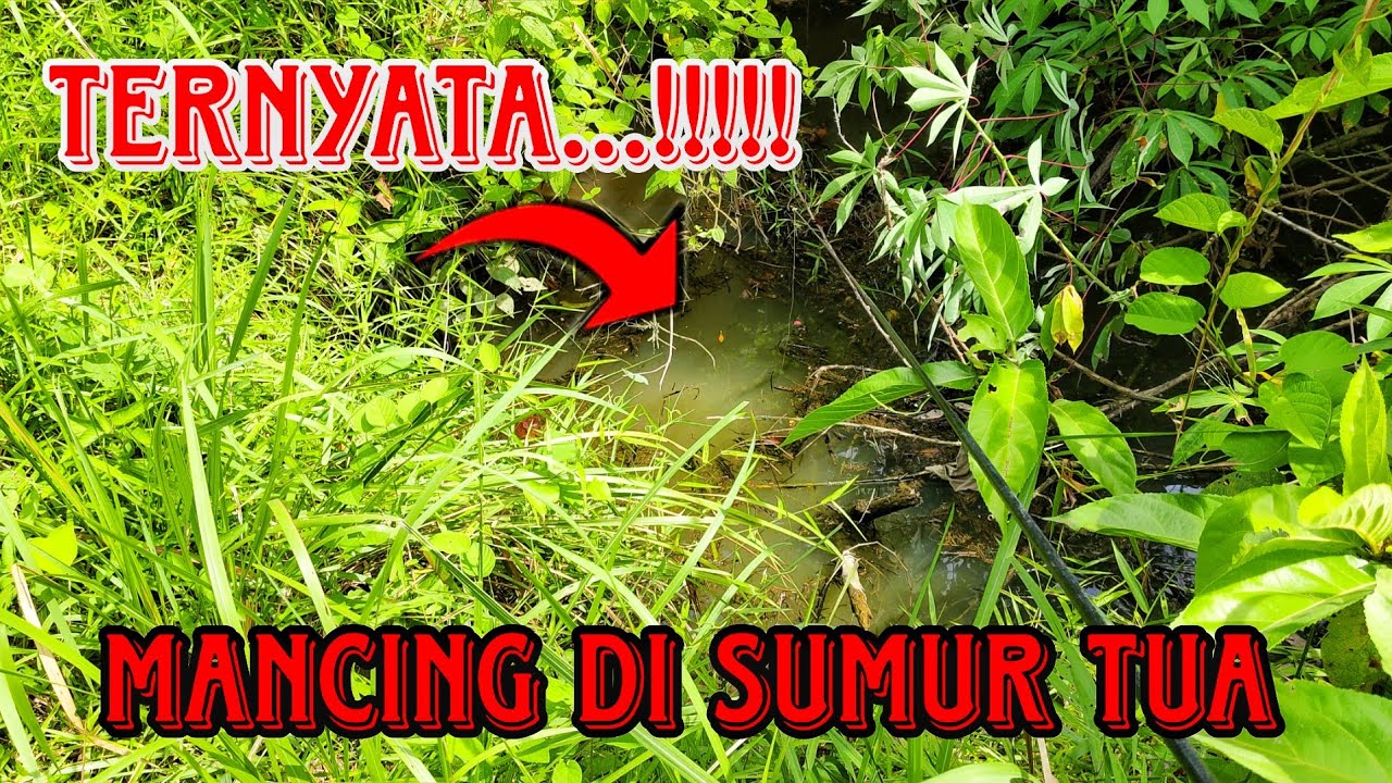 Mancing di bekas sumur tua ‼️ternyata ini penghuninya