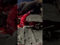 شمس العصر 