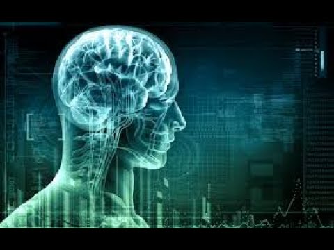 Sistem Saraf - Part 2 : Otak  I Anatomi Otak Manusia  I 12 Saraf Kranial I Bagian Otak dan Fungsinya