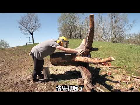 男子花費六年時間在野外建造豪華木屋 #荒野建造 #原始技術