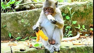 Jessie feels happy & eat slowly after man give soft banana once, screenshot 2