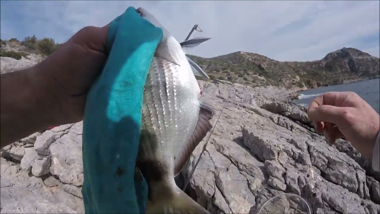 Η ΧΑΡΑ ΤΟΥ ΨΑΡΑ 21 IN MY OFFICE