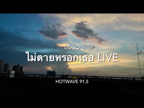ไม่ตายหรอกเธอ LOSO LIVE @ Hotwave 91.5