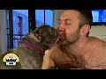 Rejected Frenchie Used For Breeding Is Finally Home | The Asher House