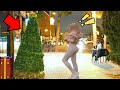 Bushman Prank: Christmas Tree Scaring People !!!