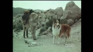 Lassie - Episode #516 - "Superstition Canyon" – Season 16, Ep. 13 – 12/28/1969