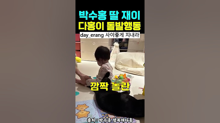 박수홍 딸 재이 다홍이 돌발행동