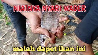 GAK NYANGKA DAPAT IKAN INI???SPOTNYA CUMAN DIBAWAH JEMBATAN.