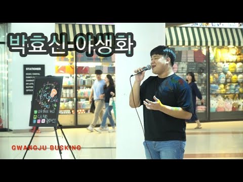 [버스킹] 박효신 - 야생화 Cover by 위광복 (광주 유스퀘어)