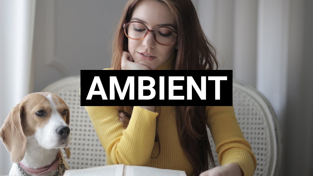 Terminal D • Silent Partner • No Copyright Music • Royalty Free Music