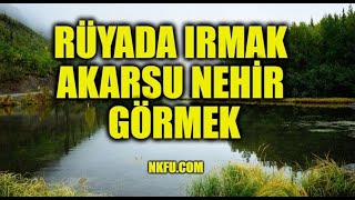 Rüyada Nehir, Akarsu, Irmak Görmek Ne Anlama Gelir?