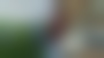 We Harvested Over 6,000 Plants - What