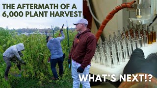 We Harvested Over 6,000 Plants - What's Next?