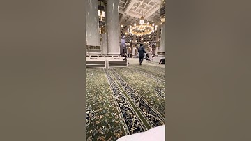 تلاوة من رحاب المسجد النبوي🤍 | ١٤٤٦ هـ 