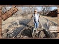 Using Quail Manure As Fertilizer