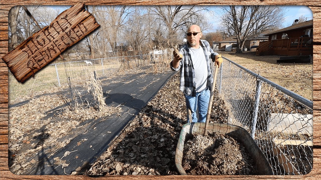Using Quail Manure As Fertilizer YouTube