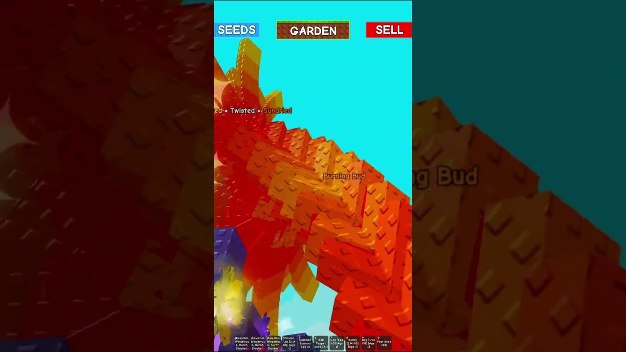 Burning bud showcase🔥 