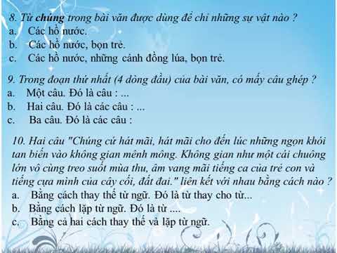 Bài 28 C: Ôn tập 3