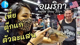 งานสัตว์แปลกอเมริกา คนอเมริกันเลี้ยงสัตว์แบบนี้ด้วยหรอ? #มอสลา |Reptile Super Show 2021 in CA