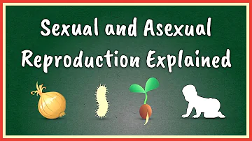 Sexual and Asexual Reproduction Explained