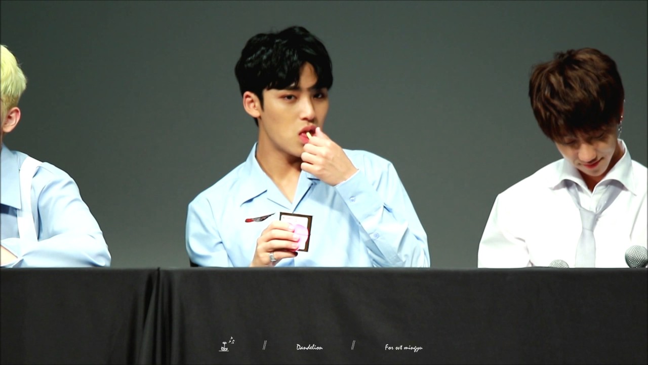 170527 목동 팬싸 민규(MINGYU) focus. (부제 과자밍)