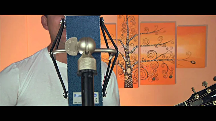 Have it All (official acoustic video)