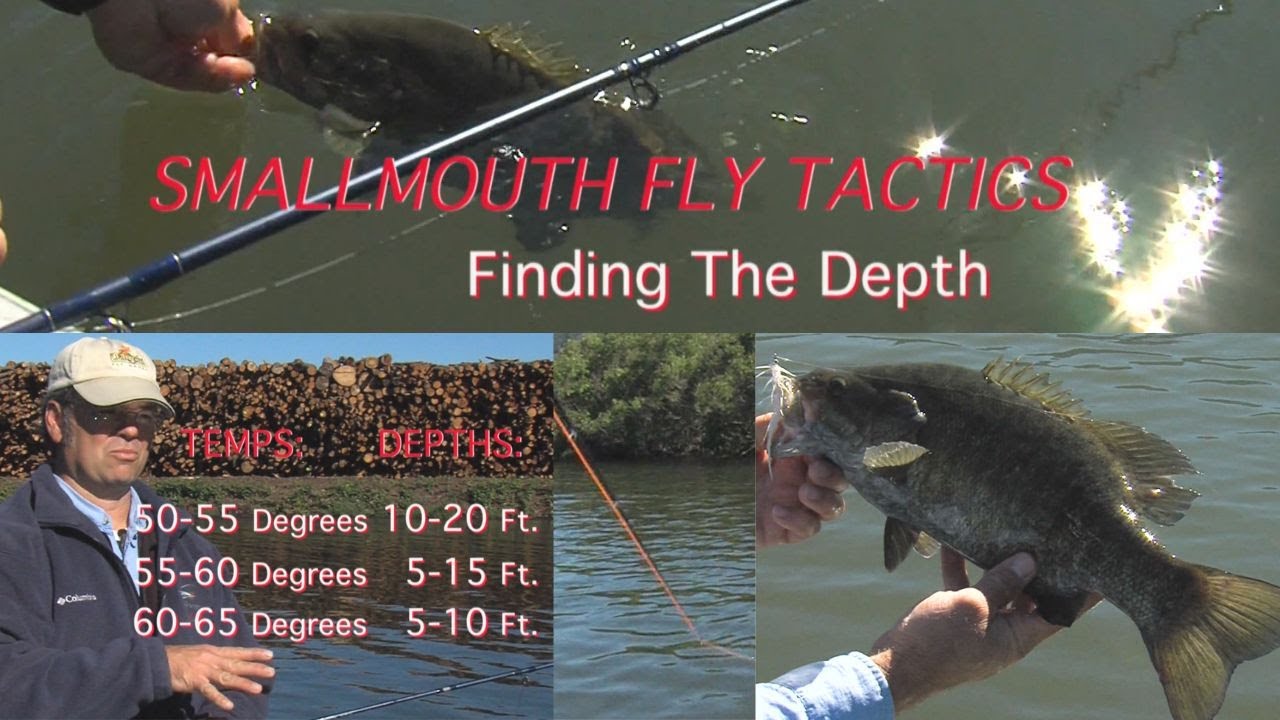 Smallmouth Fly Tactics "Finding the Depth"