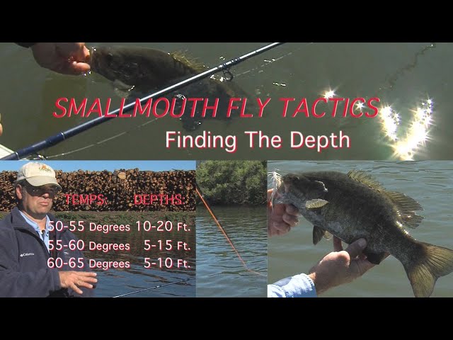 その他 Smallmouth Strategies for the Fly Rod Smallmouth Fly Tactics 