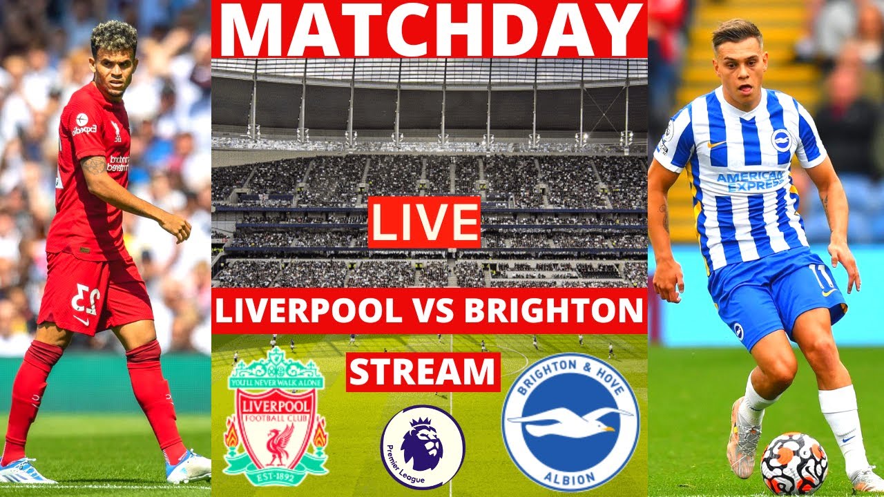 Liverpool vs Brighton Live Stream Premier League EPL Football Match Today 2022 Commentary Score Vivo