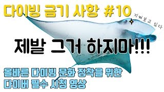 [DON’T] 다이빙 투어 금기 사항 10가지 - 올바른 다이빙 문화 정착의 주인공은 바로 너~!!!