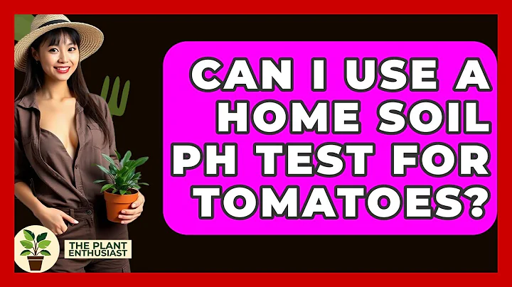 Can I Use A Home Soil PH Test For Tomatoes? - The Plant Enthusiast