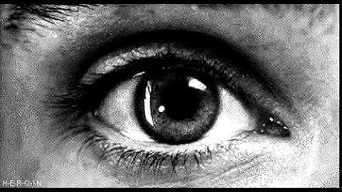 Stoned reaction gif video