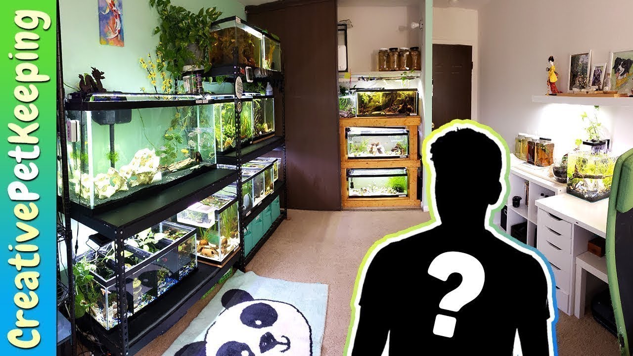 new fish taxa MY BOYFRIEND does my FISH ROOM Tour | So cute! ❤