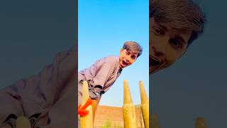 Cute baby cricket 🏏 #shortyoutube #shortvideo
