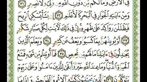 042   سورة الشورى   شيرزاد عبد الرحمن طاهر