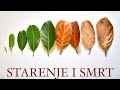 Starenje i smrt. Ima li rešenja? - 1. deo, prof. dr. Tomislav Terzin