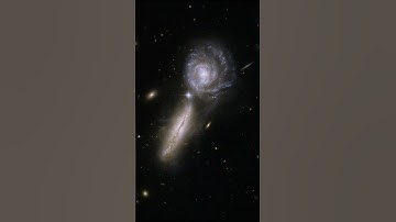 Hubble Galaxies Gone Wild part 1& Borrtex - Light  #shorts