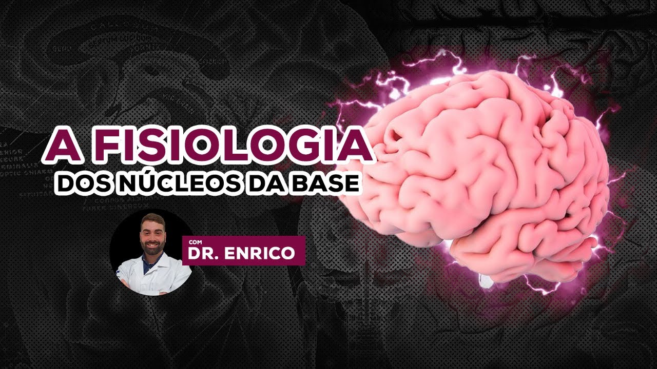 A Fisiologia dos Núcleos da Base (Neuroanato de A a Z) - YouTube