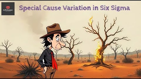 Special Cause Variation in Six Sigma