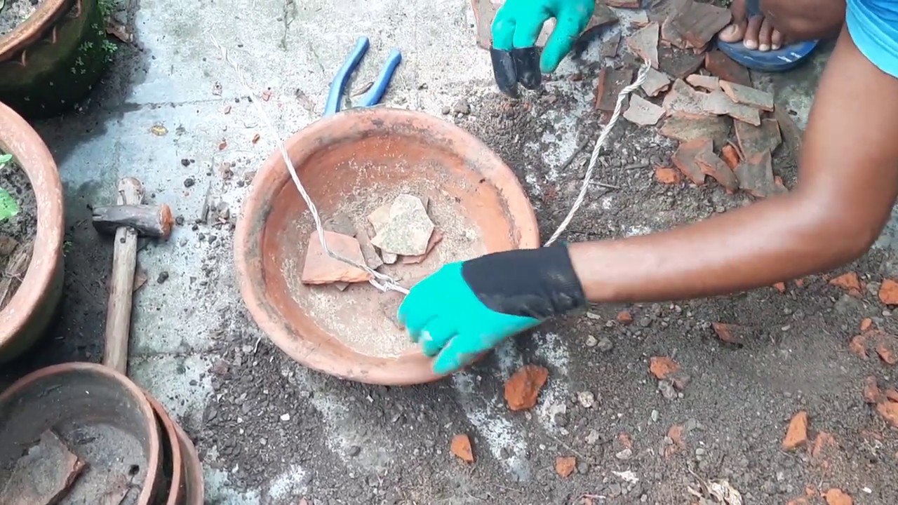 How to Make Bonsai(Hindi) bonsai kaise banayein YouTube