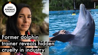 Former dolphin trainer reveals hidden cruelty behind the industry