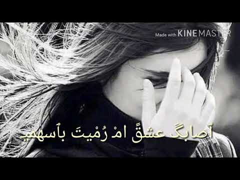 أياداعي بذكر العامرية