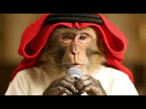 مقابلة بندر بن فيصل الرياض Bander Bin Faishal Riyadh Interview