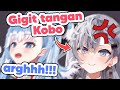 Pergelutan Zeta dan Kobo yang sangat kocak di offcollab