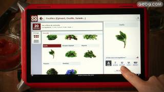 Demo QOOQ fiches ingrédients