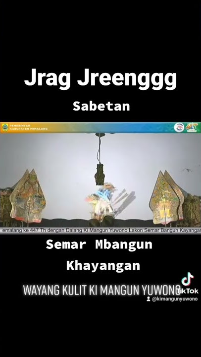 Sabetan II - Wayang kulit Ki Mangun Yuwono #shorts