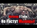 Почему У Тебя Не Растут Мышцы!