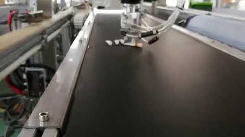 Parallel robot Ointment in line