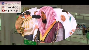 عشائية خيالية للشيخ #ماهر المعيقلي#سورة الانعام#﴿قُلِ اللَّهُ يُنَجّيكُم مِنها وَمِن كُلِّ كَربٍ}