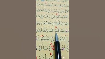 سورة الروم الأية 28 إلى 29 بصوت سعد الغامدي